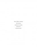 Fundamentos de economia.