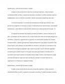 Identificacion de mercados.