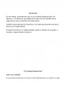 Coaching organizacional.