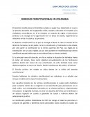 DERECHO CONSTITUCIONAL EN COLOMBIAюю