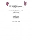 Administración de Riesgos e instrumentos derivados