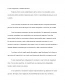 Lectura: Inmigración y medidas educativas