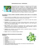 Responsabilidad social y empresarial es un compromiso con el entorno social y ambiental que rodea la empresa