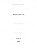 El nocivo impacto cinematográfico