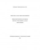 EXTENCION Y PROYECCION DE LA UPTC