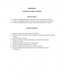 Identificar la morfología del pulmón y por medio de esta, comprender sus funciones.