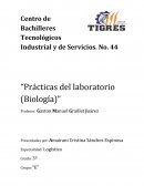 Prácticas del laboratorio (biología)