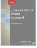 ¿Cuál es la rama del derecho económico?