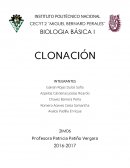 BIOLOGIA BÁSICA I CLONACIÓN