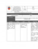 Reingeniería del Sistema de Gestión Estudiantil para el departamento de Control de Estudio del Colegio Monseñor Arturo Celestino