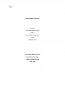 Ensayo Sobre El Servicio