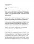 LA REBELION DE LAS RATAS. CONTENIDOS DEL TEXTO