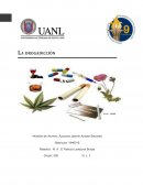 La drogadicción ¿Que son las drogas?