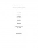 Capítulo 2: consumidor ecológico