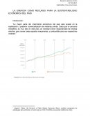 LA ENERGIA COMO RECURSO PARA LA SUSTENTABILIDAD ECONOMICA DEL PAIS