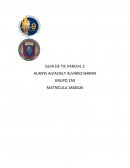 Guia de tic 2 examen parcial 2