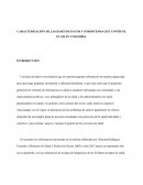 CARACTERIZACIÒN DE LAS BASES DE DATOS Y SUBSISTEMAS QUE CONTIENE EL SIS EN COLOMBIA