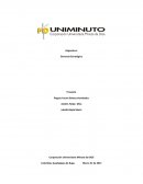 Gerencia estrategica LEPAVAN S.A