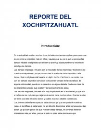 REPORTE DEL XOCHIPITZAHUATL. Página 1