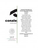 OBJETIVOS DE LA INVESTIGACION DE MERCADO . LA CULTURA Y SUS ELEMENTOS