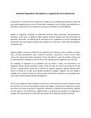 Actividad Integradora: Recopilación y organización de la información
