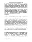 ONCOCERCOSIS (ONCHOCERCA VULVUS)