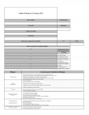 Análisis de Riesgo en el Trabajo (ART)