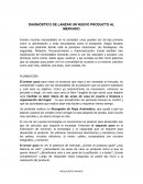 DIAGNÓSTICO DE LANZAR UN NUEVO PRODUCTO AL MERCADO