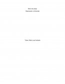 Diario de campo Observación y Entrevista