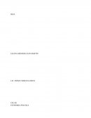 IKEA es una multinaconal de Suecia