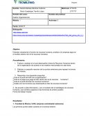 ¿Cuál es el perfil del líder de la organización?