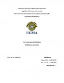 Práctica Nº3. Perdida por Accesorios