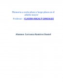 Memoria a corto plazo del adulto mayor