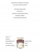 REPORTE DE LABORATORIO PRÁCTICA No. 3 Aminoácidos y proteínas (prueba de Biuret)