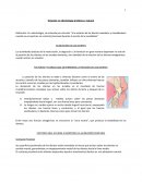 Oclusión en odontología protésica y natural