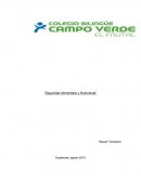 Formar y fortalecer las comisiones SAN dentro del sistema de consejos de desarrollo