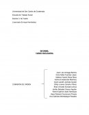 Tarde Huelguera, Informe