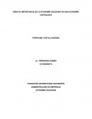 La importancia de la economía solidaria en el sistema capitalista