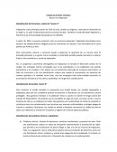 Analisís Temático: Basura en Valparaíso