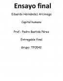 Capital humano ensayo