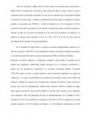 La necesidad de incrementar la producción nacional
