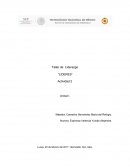 Taller de liderazgo “Lideres”