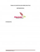 Café a base de quinua