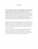En el presente trabajo se dará a conocer detalladamente ¿Qué es orbit garant?