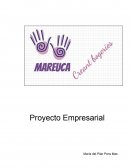 Proyecto Empresarial PLAN DE NEGOCIO