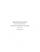 Control 1 de taller 2 prevencion area agricola