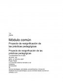 Propuesta pedagogica. La mente