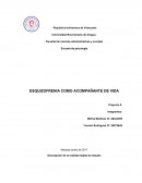 Esquizofrenia como acompañante de vida.