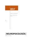 NEUROPSICOLOGIA ¿En qué consiste el Sindrome de Rasmussen?