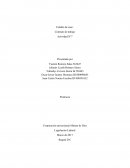 Estudio de caso: Contrato de trabajo Actividad N°7